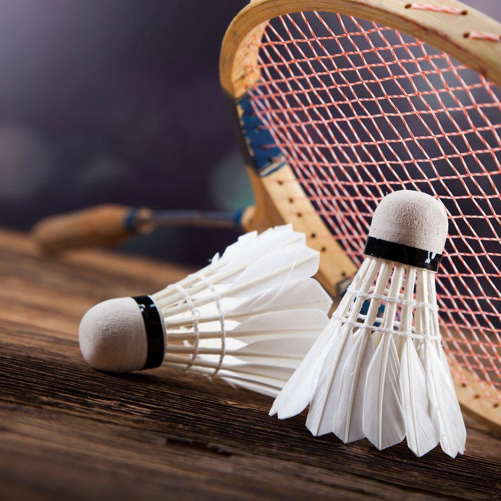 Badminton